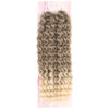 Nice Bulk Afro Su Dalgası Saç - Küllü Kahve / Platin Ombreli 2 Nice Bulk Afro Su Dalgası Saç - Küllü Kahve / Platin Ombreli